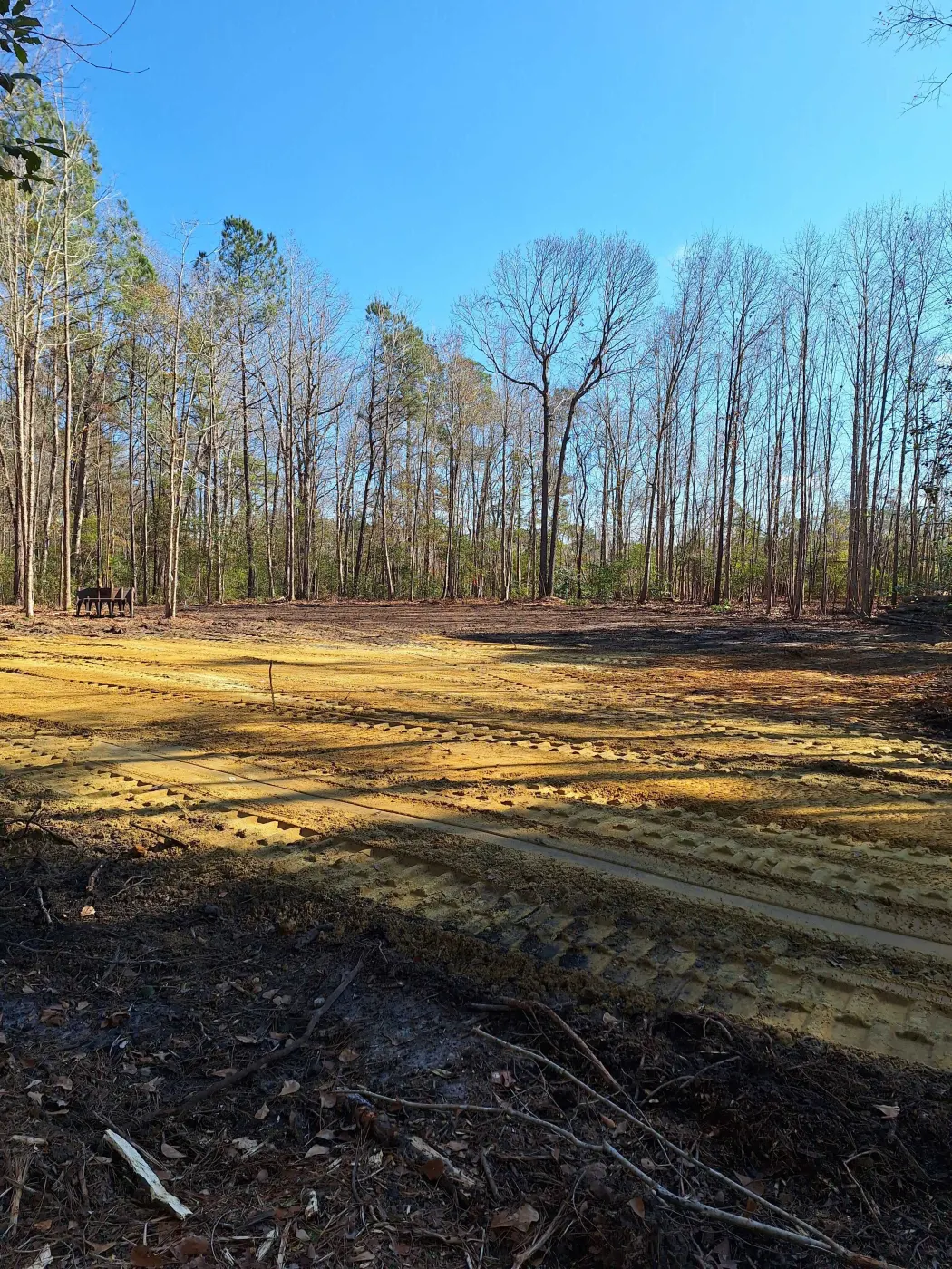 Tracked skid steer and excavator clearing one acre of wooded land in coastal North Carolina, cleared lot with cut trees and exposed dirt
